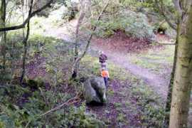 geograph.org.uk Cardale