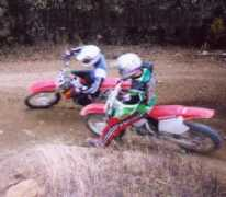 midweststunters.com Cardello