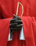 tucomunion.com Cardenales