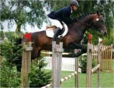 brendonstud.com Cardiano