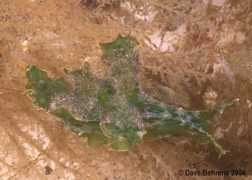 slugsite.us Cardinas