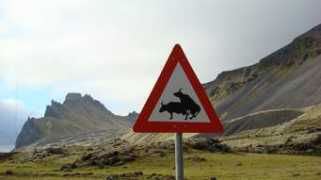 panoramio.com Carefull