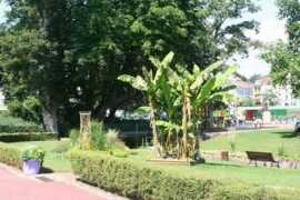 atome77.com Careil