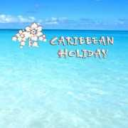 musicspecialties.com Carhol