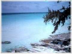 watersummit.com Caribean