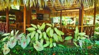 costaricantimes.com Caribeno