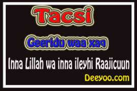 deeyoo.com Cariga
