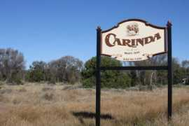 carinda-p.schools.nsw.edu.au Carinda