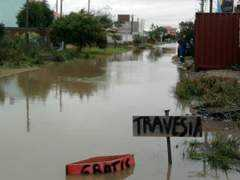 jornalagora.com.br Caringe