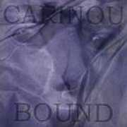 the-gothicworld.de Carinou