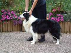 lizasborder.at Caristan