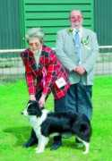 ourdogs.co.uk Caristan