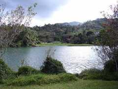 Carite