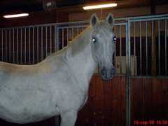hem.fyristorg.com Caritha