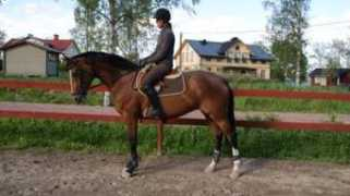 blogg.cillasunghast.se Caritza
