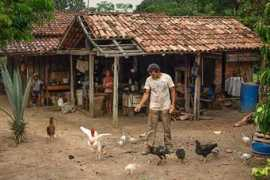 smithsonianmag.com Carlindo