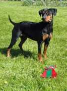 lillaenebys.se Carmach