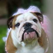 loveon4paws.org Carmela