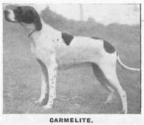 Carmelite
