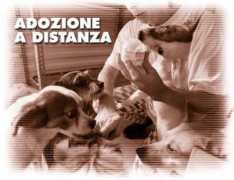 gaiaitalia.it Carnazzi