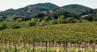 highway12winery.com Carneros