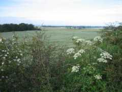 Carnock