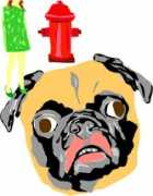 Carok