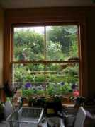 theworldgarden.com Carolan