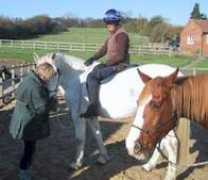 naturallyhorses.org.uk Caroleann