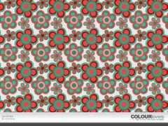colourlovers.com Carolinda