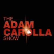 brandsavant.com Carolla