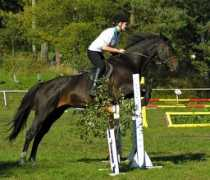 gina.wbs.cz Carolline