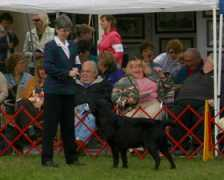 goldenmoonlabs.com Carollyn