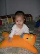 photo.tamtay.vn Carott