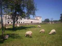 turismo.com.ar Caroya