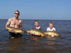 Carp