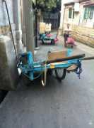 whatsonxiamen.com Carriage