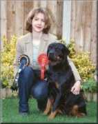 rottweilersdirect.co.uk Carsal