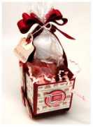 laurenm.blogs.splitcoaststampers.com Carsale