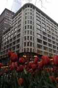 featuresblogs.chicagotribune.com Carsons
