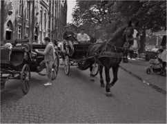 panoramio.com Cartage