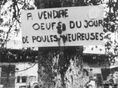 jjkphoto.ch Cartigny