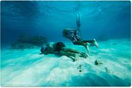 aquabumps.com Carva