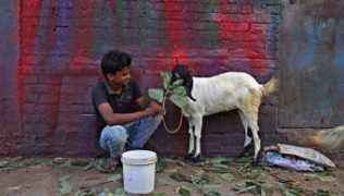 zeenews.india.com Carvan