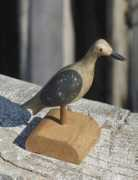 portrepublicdecoys.com Carvera