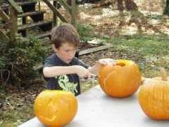 Carves