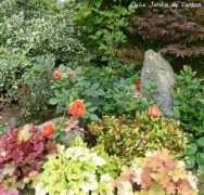lejardindecarzan.blogs.lalibre.be Carzan