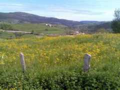panoramio.com Casamaria