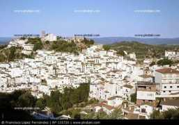 Casares