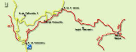 Casarine